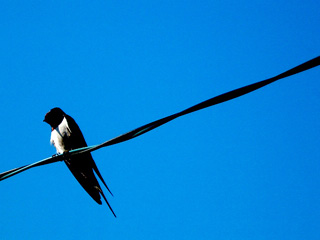 20040506