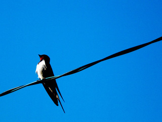 20040506