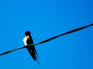 20040506