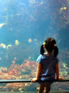 20040814